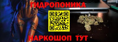 шишки Нарткала