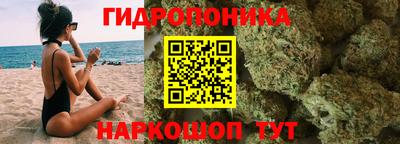 шишки Нарткала