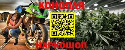 шишки Нарткала
